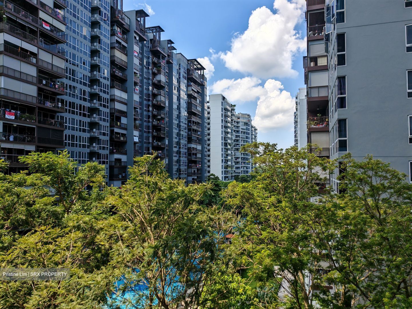Park Green (D19), Condominium #466187641